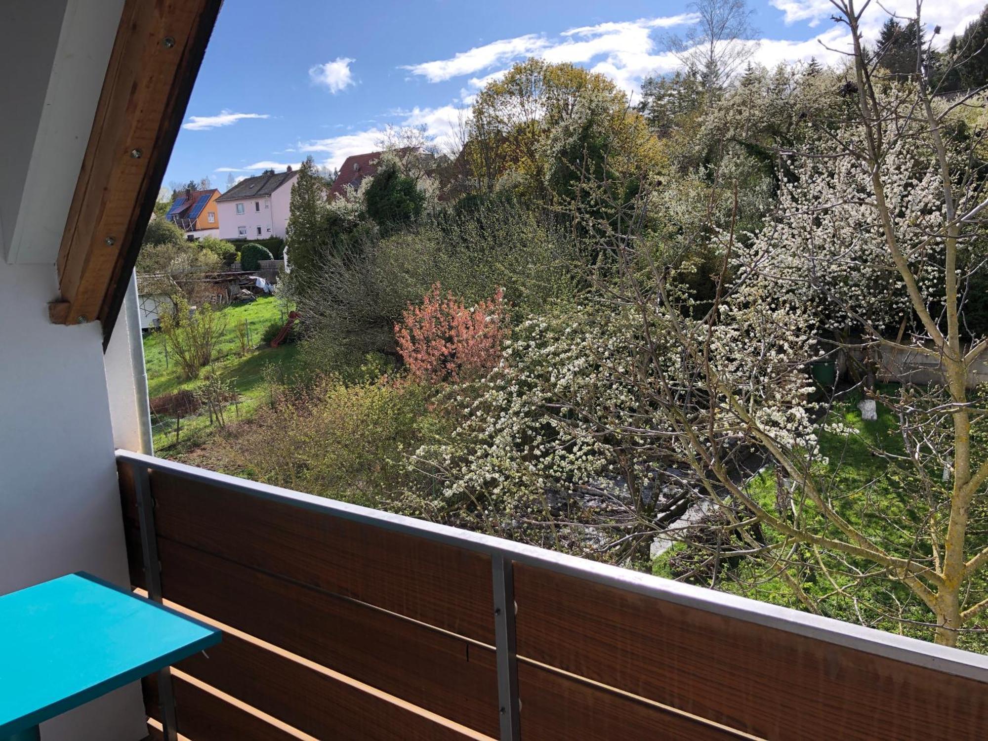 Blaues Zimmer Mit Grossem Balkon, Bad Ist Ein Traum, 50 Schritte Zum Radweg Am Main,Ideal For Short Stay Mainstockheim Luaran gambar